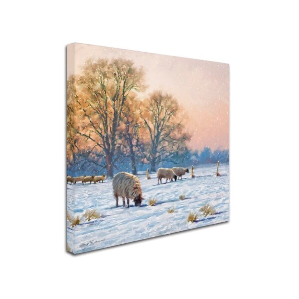 The Macneil Studio 'Winter Sheep' Canvas Art,24x24